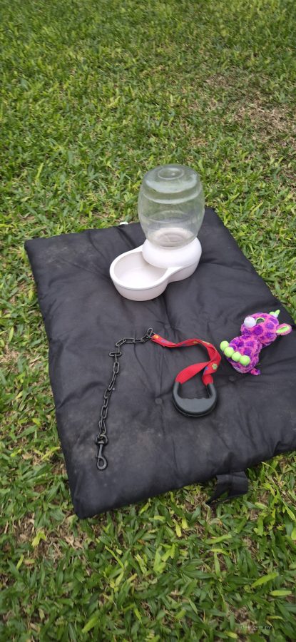 Casa y Accesorios para Mascotas