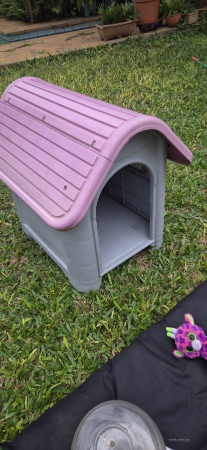 Casa y Accesorios para Mascotas